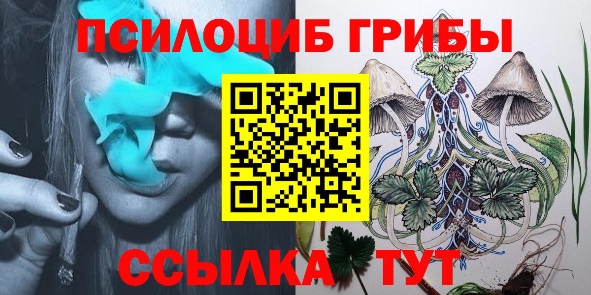 Псилоцибиновые грибы Psilocybe Кумертау