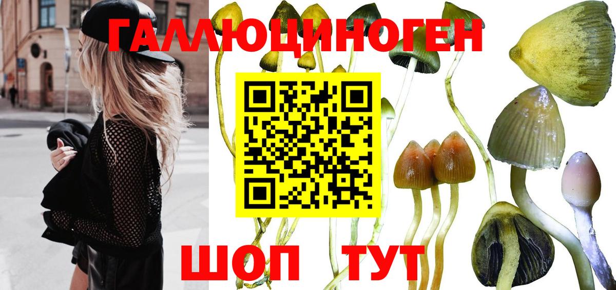 Кумертау  Галлюциногенные грибы GOLDEN TEACHER  Галлюциногенные грибы Psilocybe  Вход с VPN 